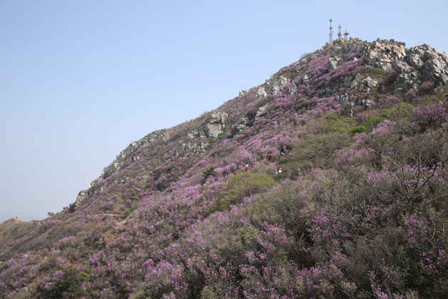 首页|7790必发集团中国官方网站