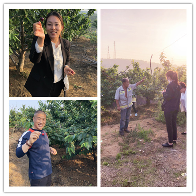 首页|7790必发集团中国官方网站