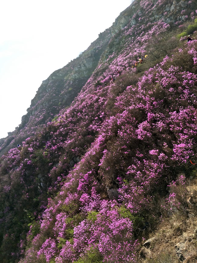 首页|7790必发集团中国官方网站
