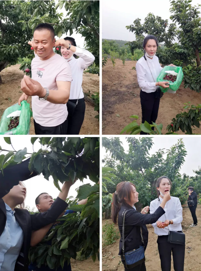 首页|7790必发集团中国官方网站