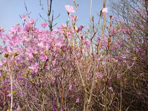 首页|7790必发集团中国官方网站